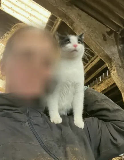 Montserrat, 23 años